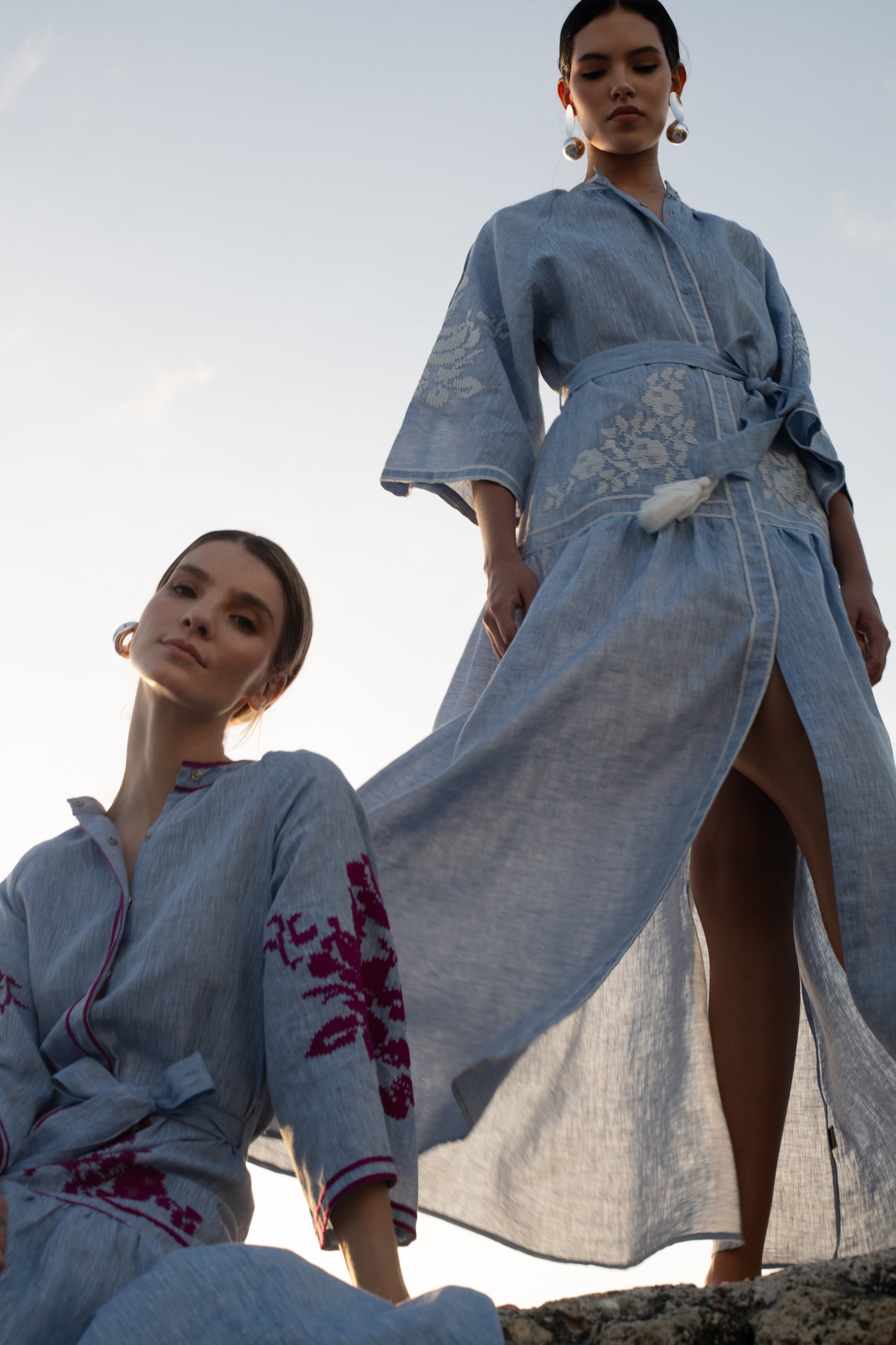 Light Denim Swan Dress