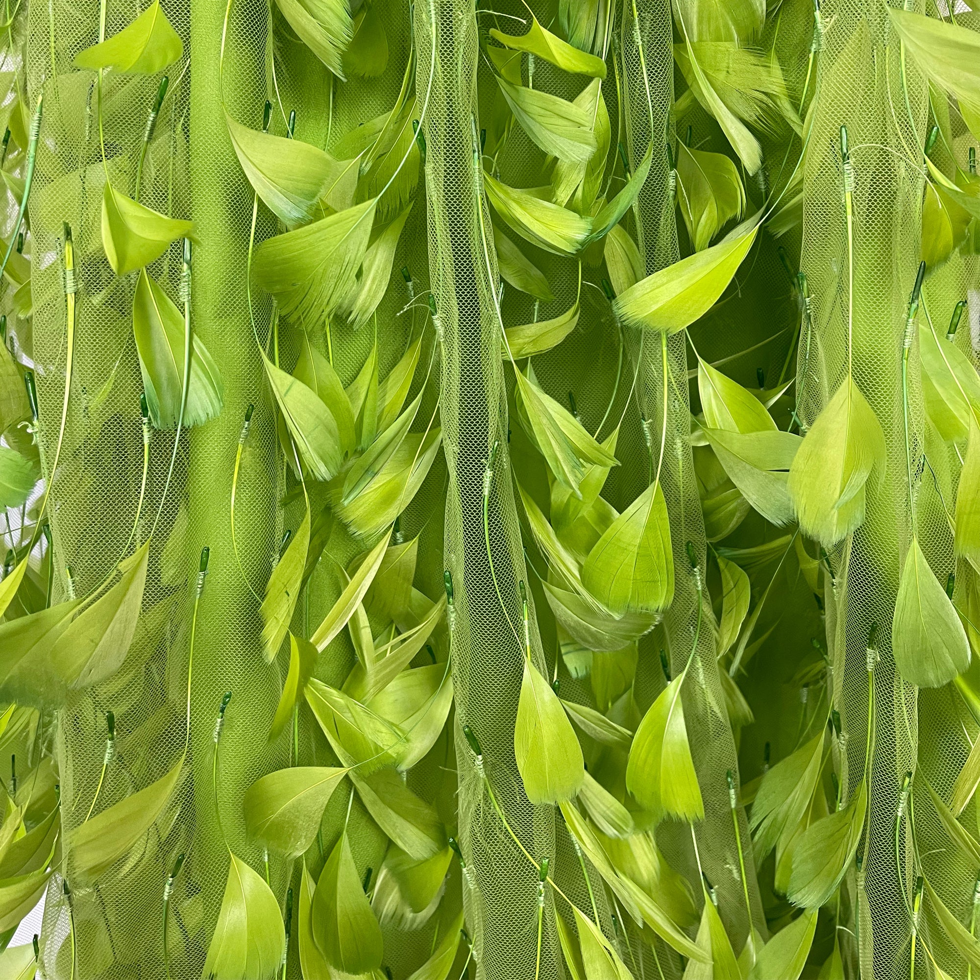 The Genie’s Secret Dress