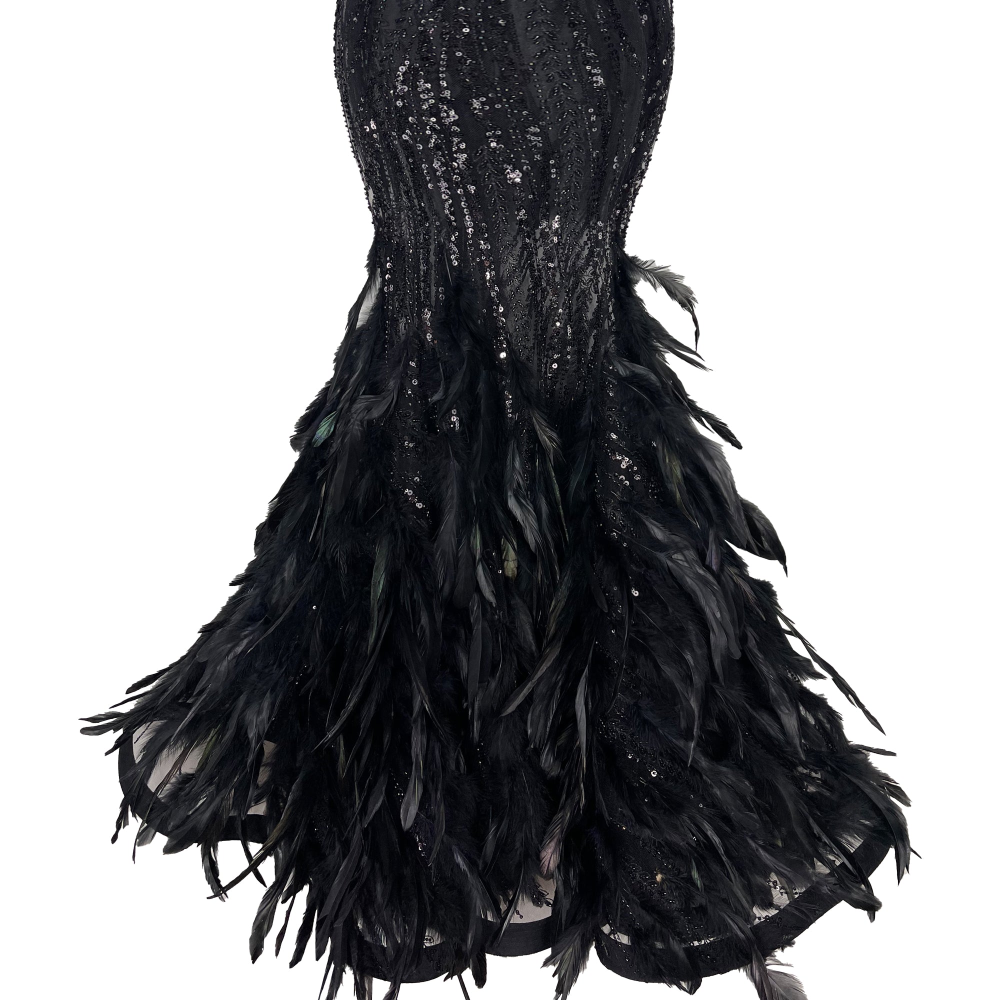 The Phoenix Feather Dress