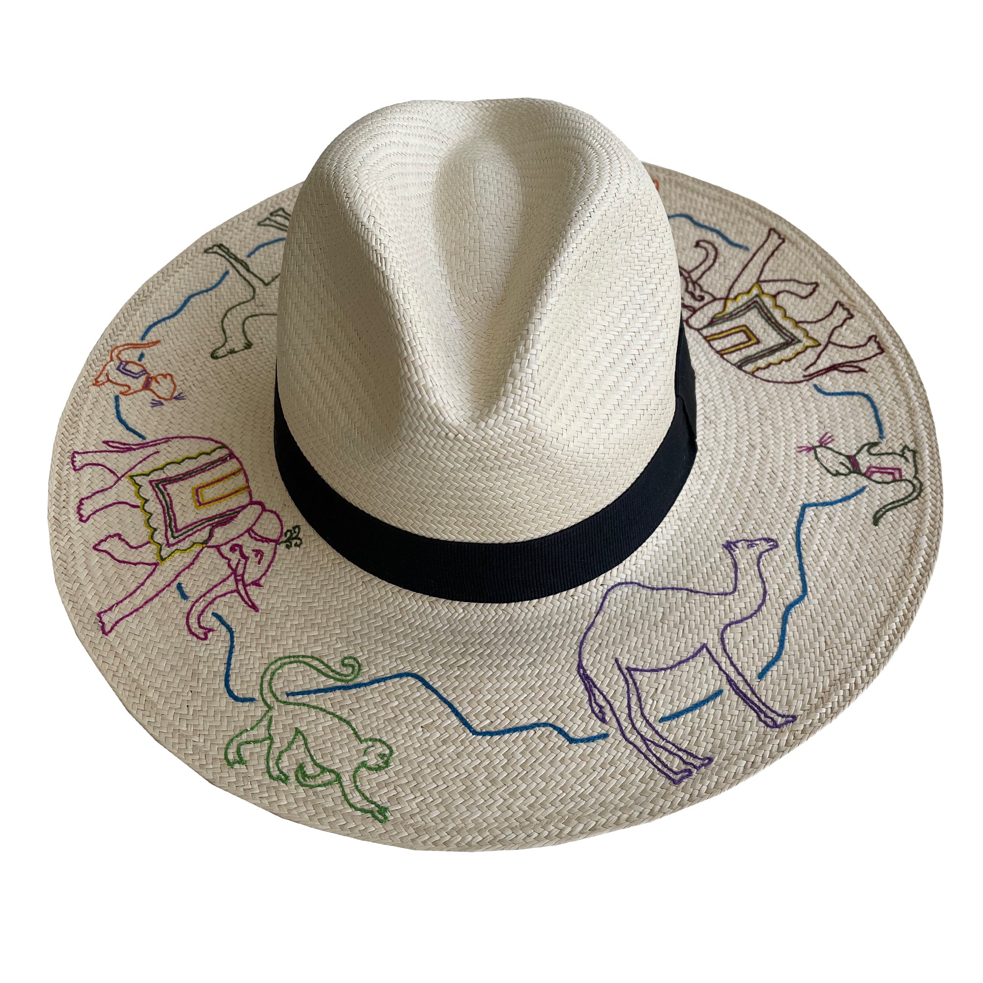 Rajasthan Hat