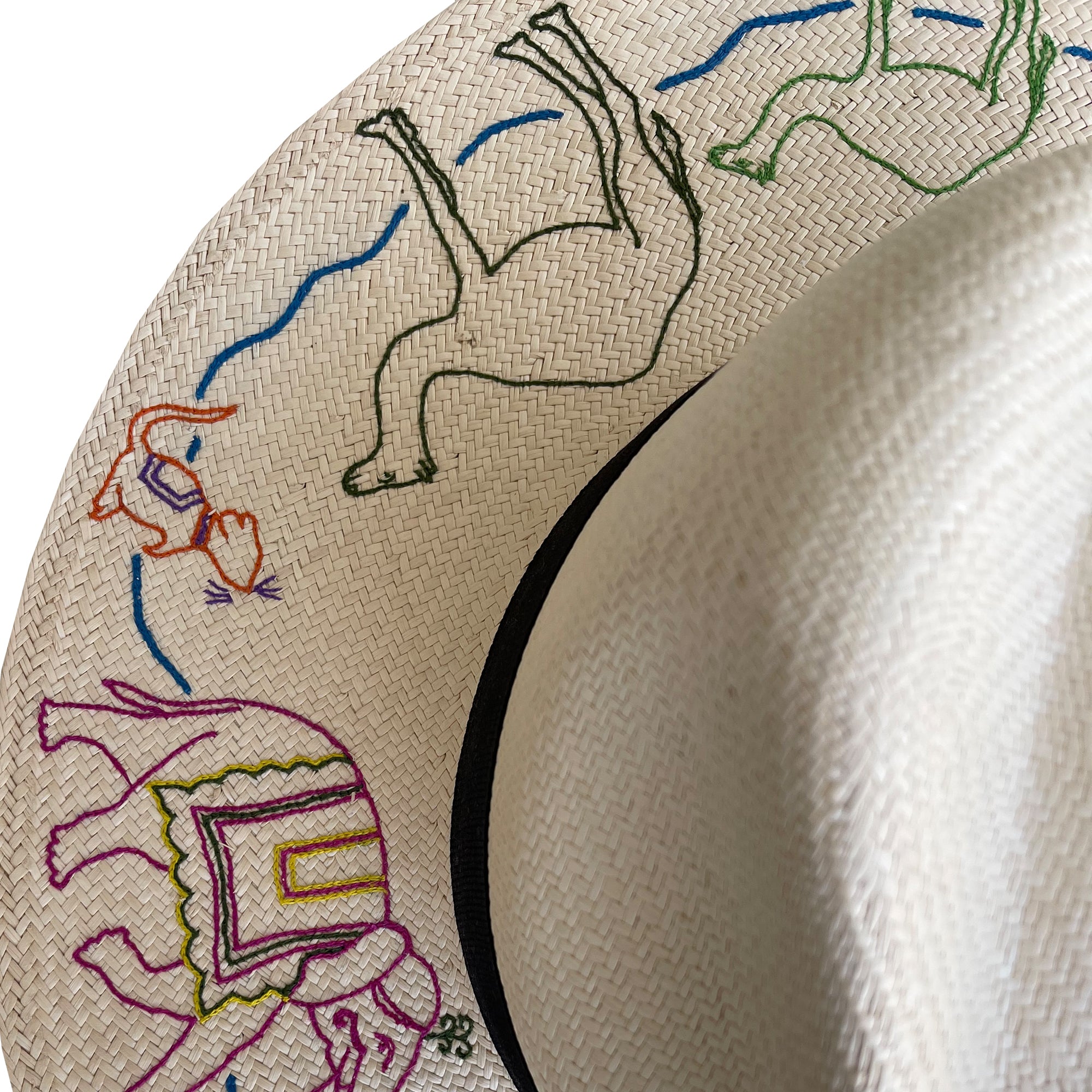Rajasthan  Hat